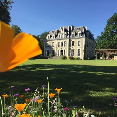 Chateau Des Essards Avec Piscine Et Jacuzzi Langeais Kültér fotó