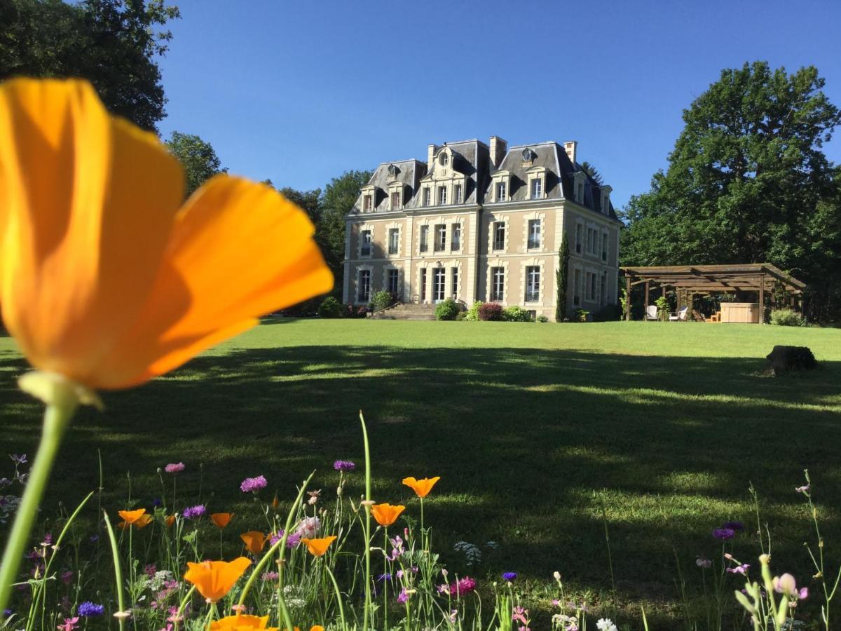 Chateau Des Essards Avec Piscine Et Jacuzzi Langeais Kültér fotó